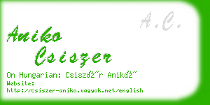 aniko csiszer business card